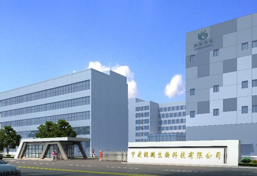 宁波乐鱼